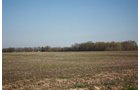 Property photo 16 - 641 Acres Offered in 16 Tracts - 545 Cropland Acres